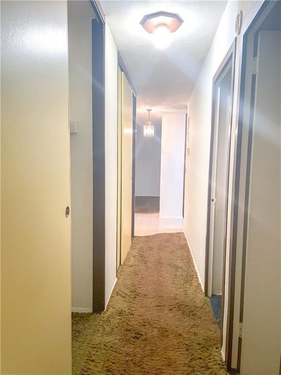 2483 16th Street #2J, Brooklyn, New York image 10