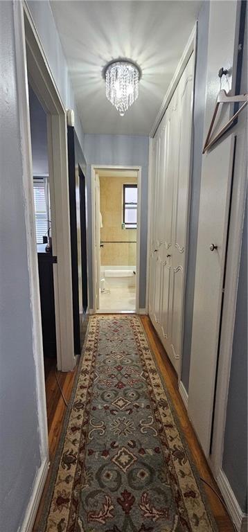 1199 53rd Street #5C, Brooklyn, New York image 5
