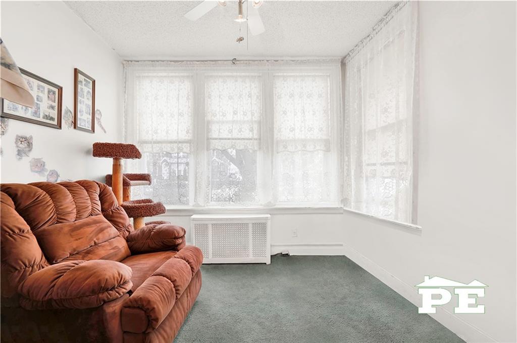 3805 Avenue P, Brooklyn, New York image 2