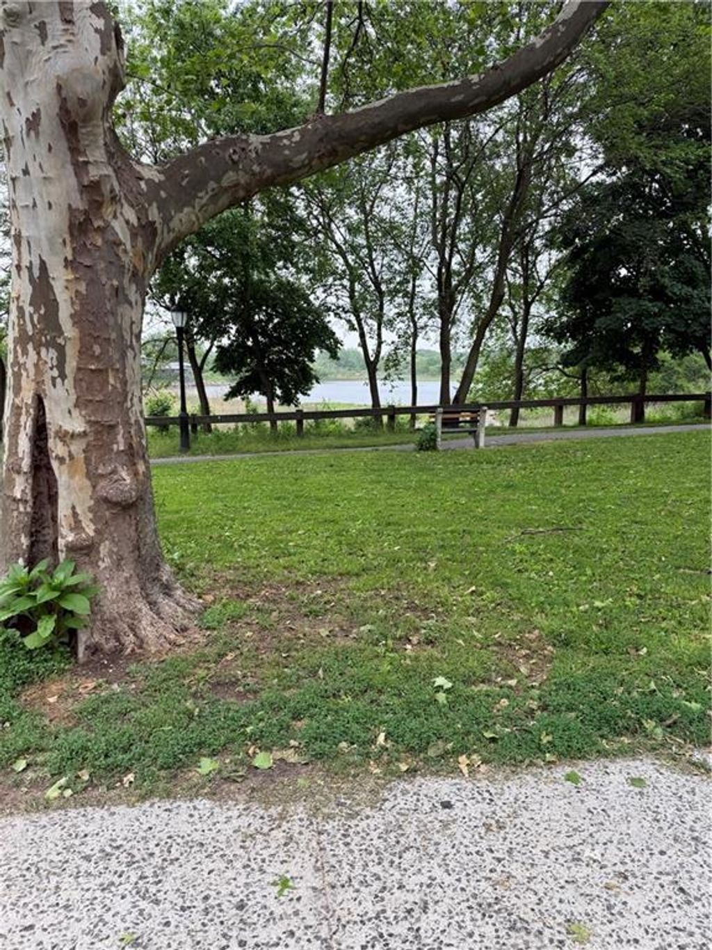 Photo of 2220 Burnette Street #5A, Brooklyn, NY 11229 (MLS # 501696)