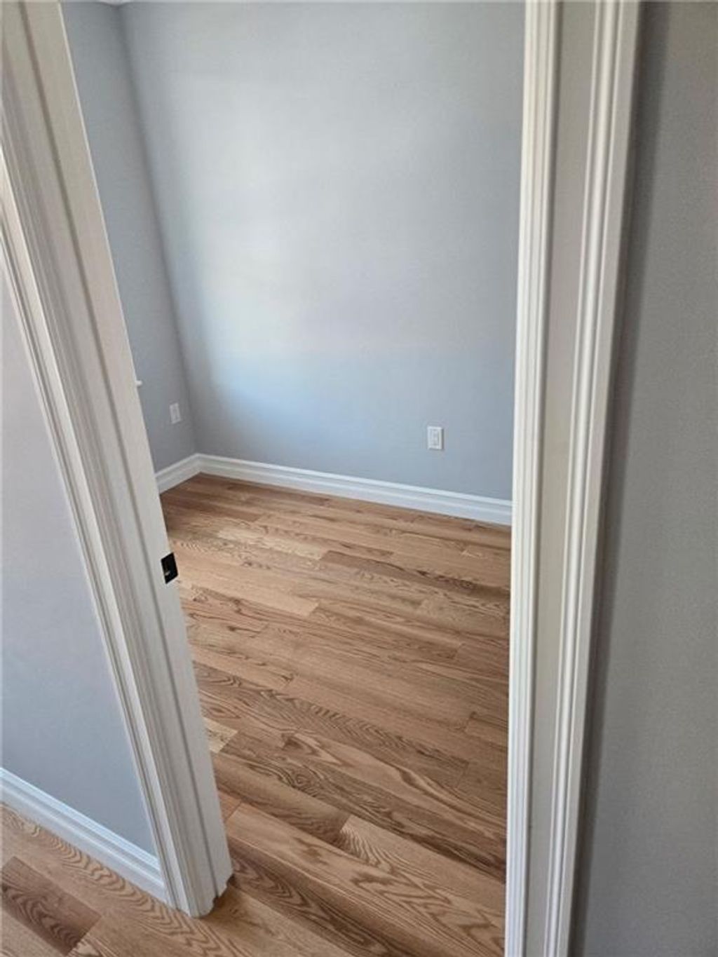 Photo of Withheld Withheld Avenue #2, Brooklyn, NY 11226 (MLS # 501526)
