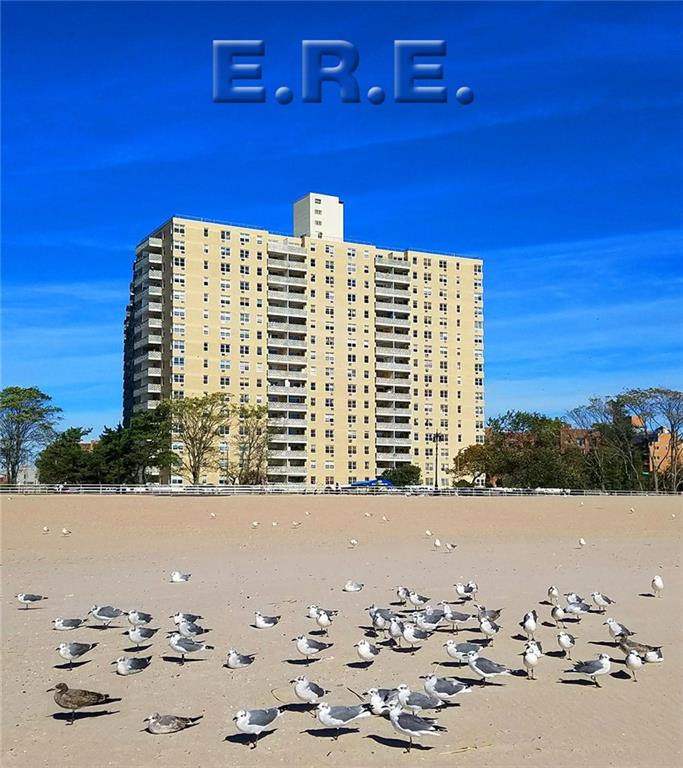 35 Seacoast Terrace #8D, Brooklyn, New York image 2