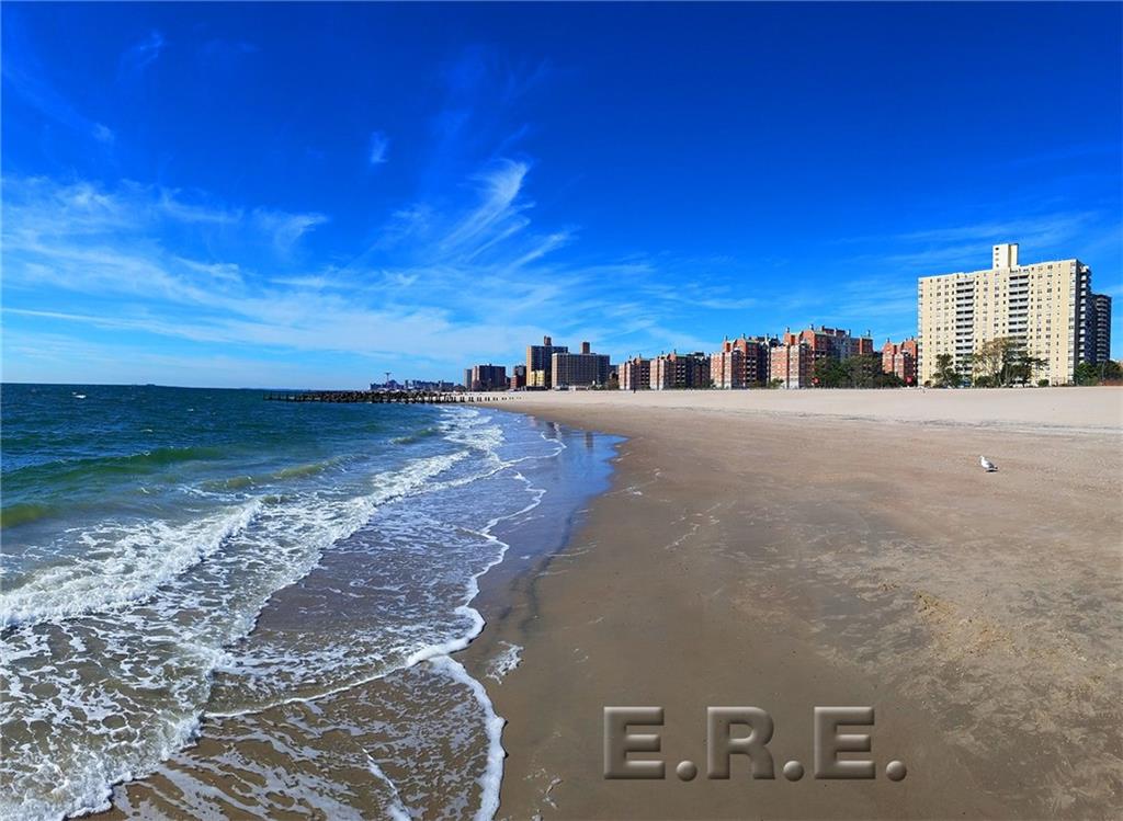 35 Seacoast Terrace #8D, Brooklyn, New York image 3