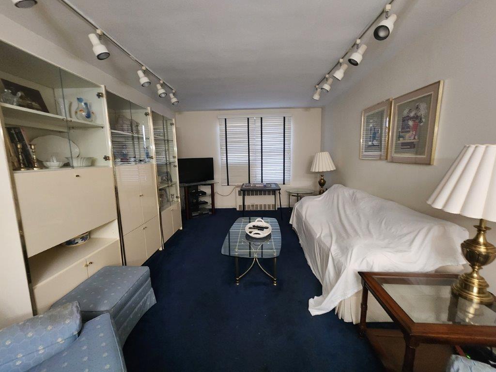 2251 Plumb Street #6B, Brooklyn, New York image 2