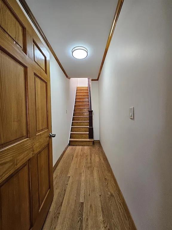 2028 65th Street, Brooklyn, New York image 23