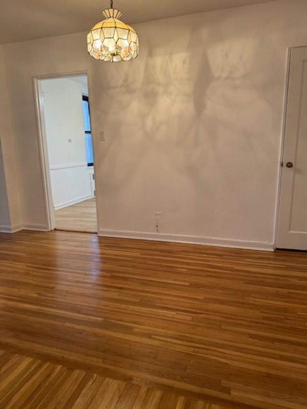 Photo of 2271 Knapp Street #2E, Brooklyn, NY 11229 (MLS # 483930)