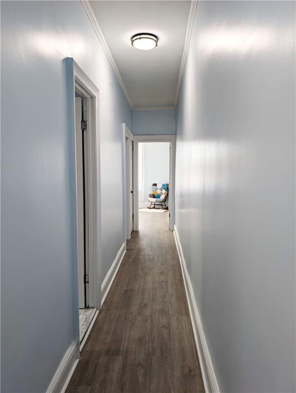 5311 Beverley Road, Brooklyn, New York image 12