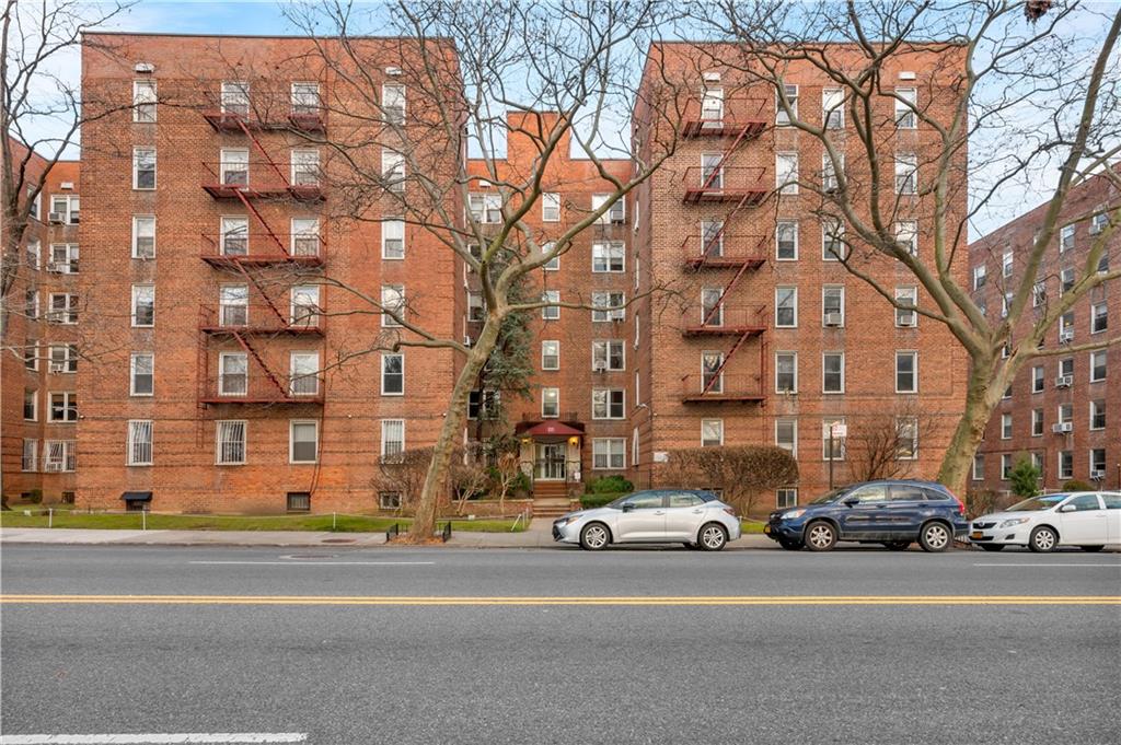 221 Mcdonald Avenue #P3, Brooklyn, New York image 20