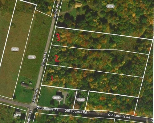 1 CHAFFEE RD, LIBERTY, NY 12754 - Image 7a0fea5c4ea68818e659eadde4673d4f/394105322
