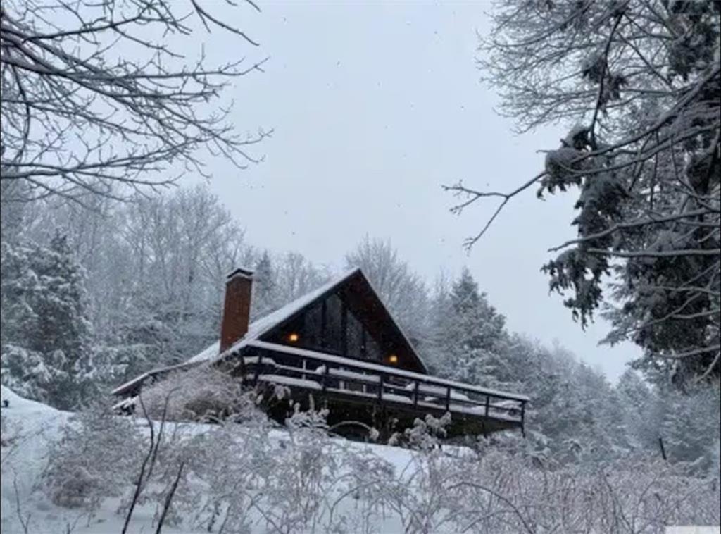 Photo of 143 Terrace Drive, Prattsville, NY 12468 (MLS # 503967)