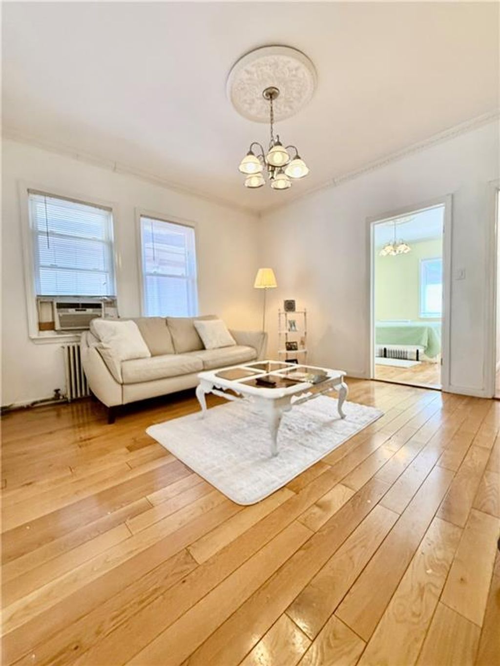 Photo of 1793 11th Street #2, Brooklyn, NY 11223 (MLS # 500948)