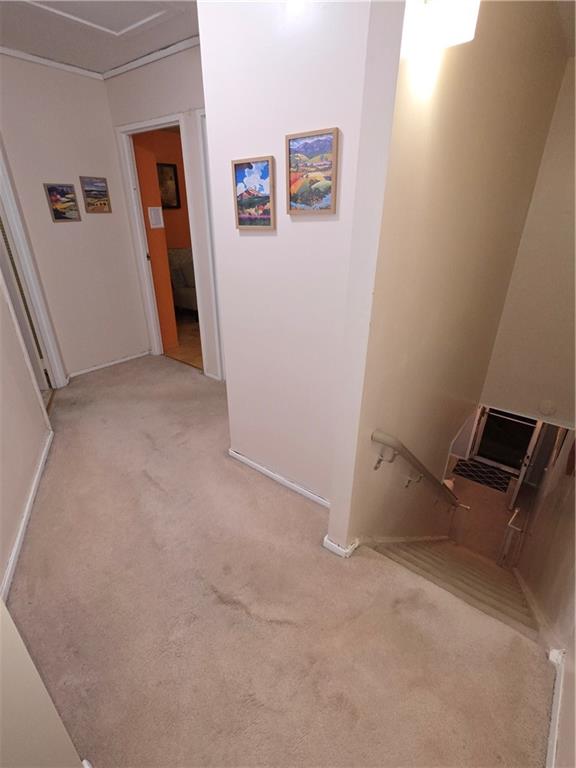 692 Sackman Street, Brooklyn, New York image 15