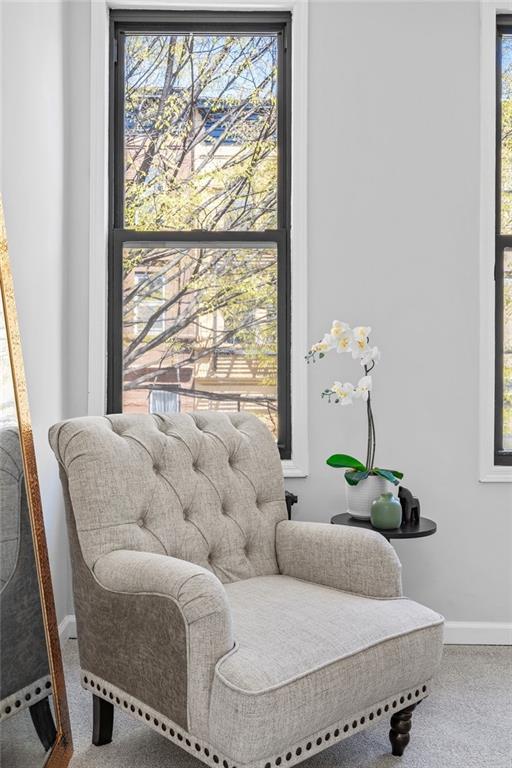 1588 Lincoln Place, Brooklyn, New York image 6
