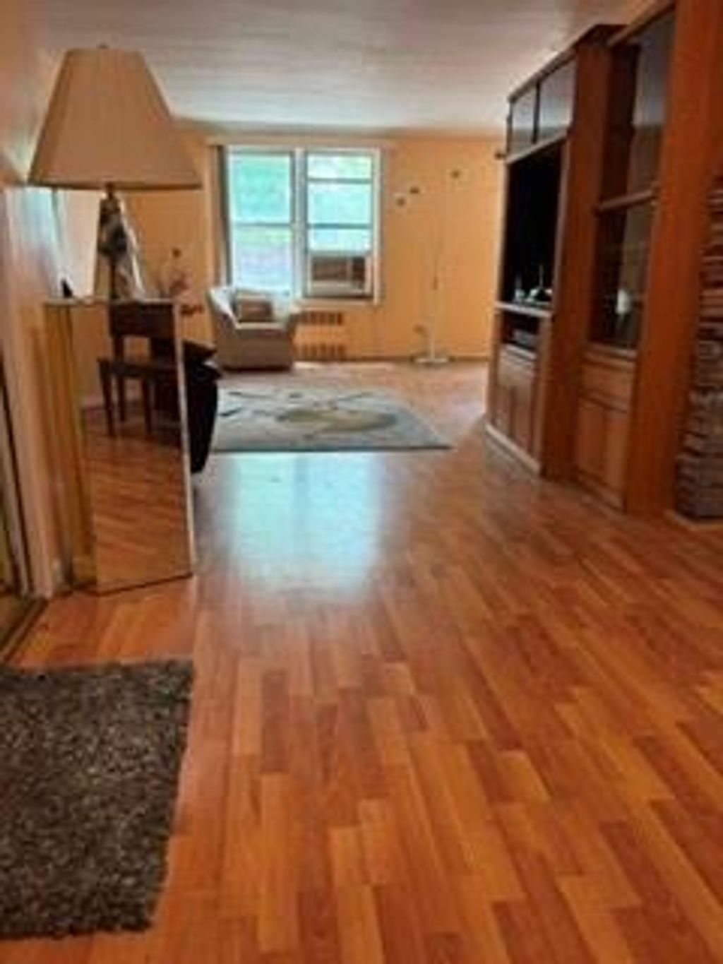 Photo of 2626 Homecrest Avenue #2H, Brooklyn, NY 11235 (MLS # 501677)