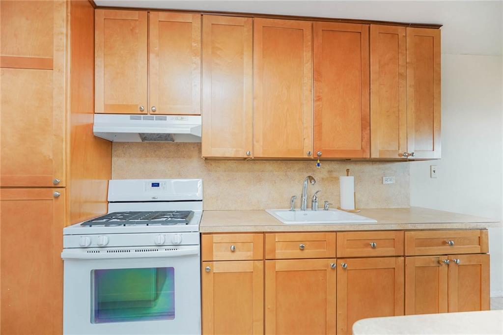 2630 Cropsey Avenue #9B, Brooklyn, New York image 14