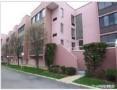 800 Willis Avenue #313, Nassau, New York image 23