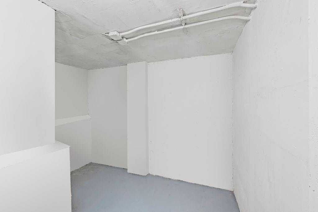 2117 East 38th Street St, Brooklyn, New York image 32