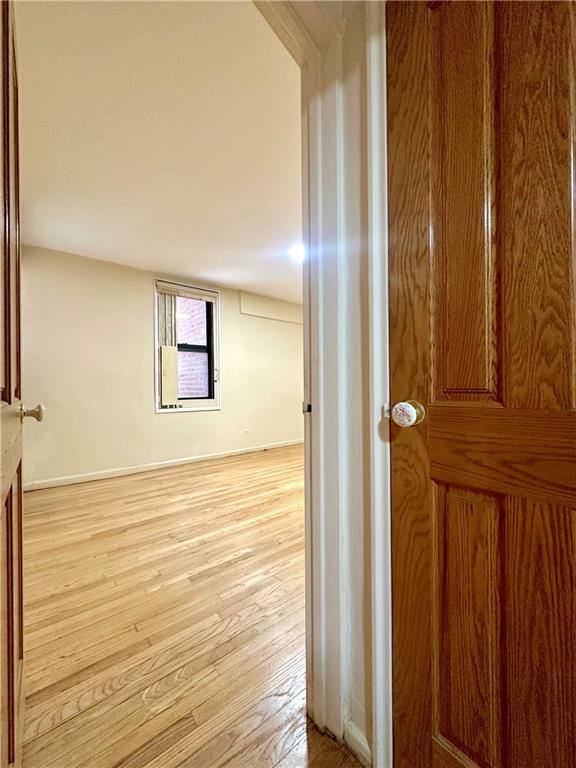 3060 Ocean Avenue #2C, Brooklyn, New York image 5