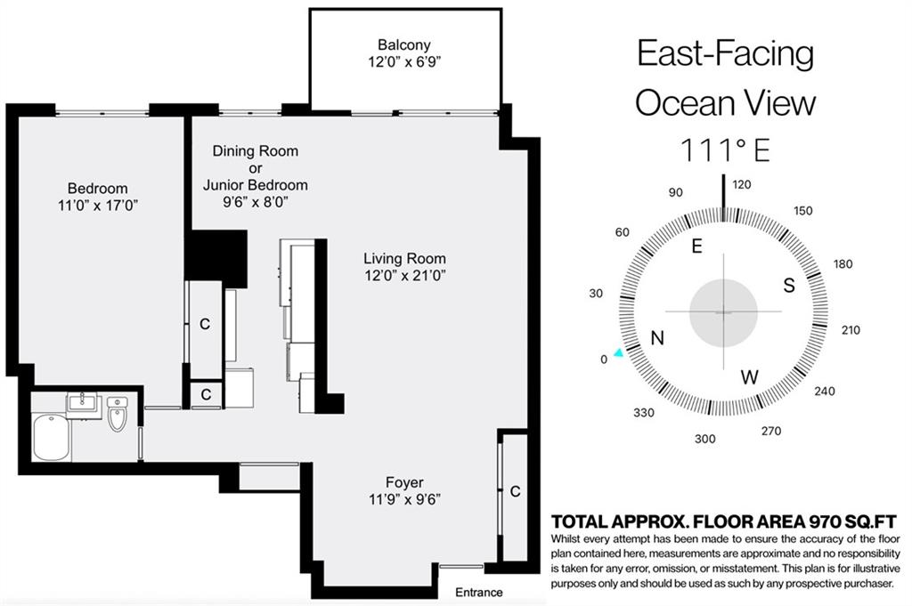 35 Seacoast Terrace #16D, Brooklyn, New York image 14