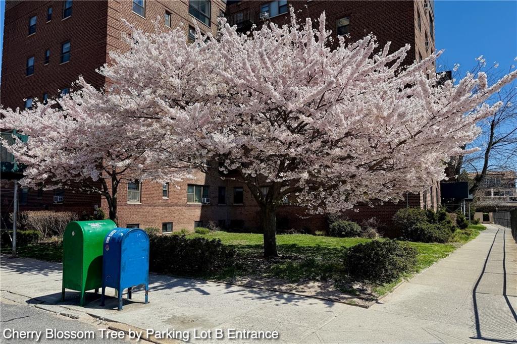 35 Seacoast Terrace #16D, Brooklyn, New York image 32