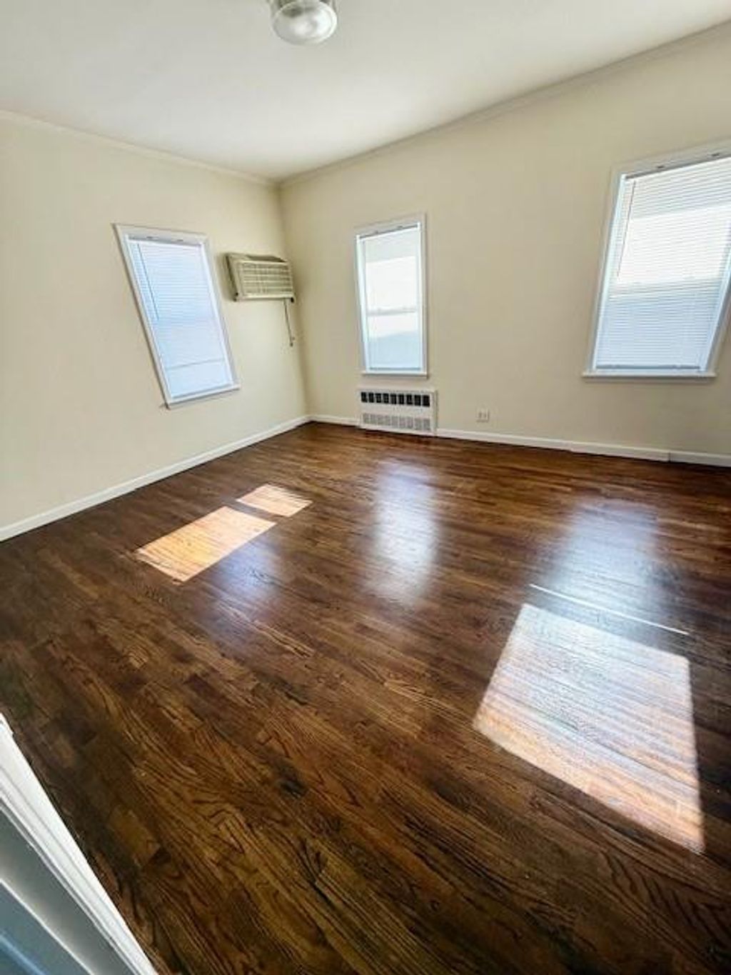 Photo of 1725 26th Street, Brooklyn, NY 11229 (MLS # 499780)