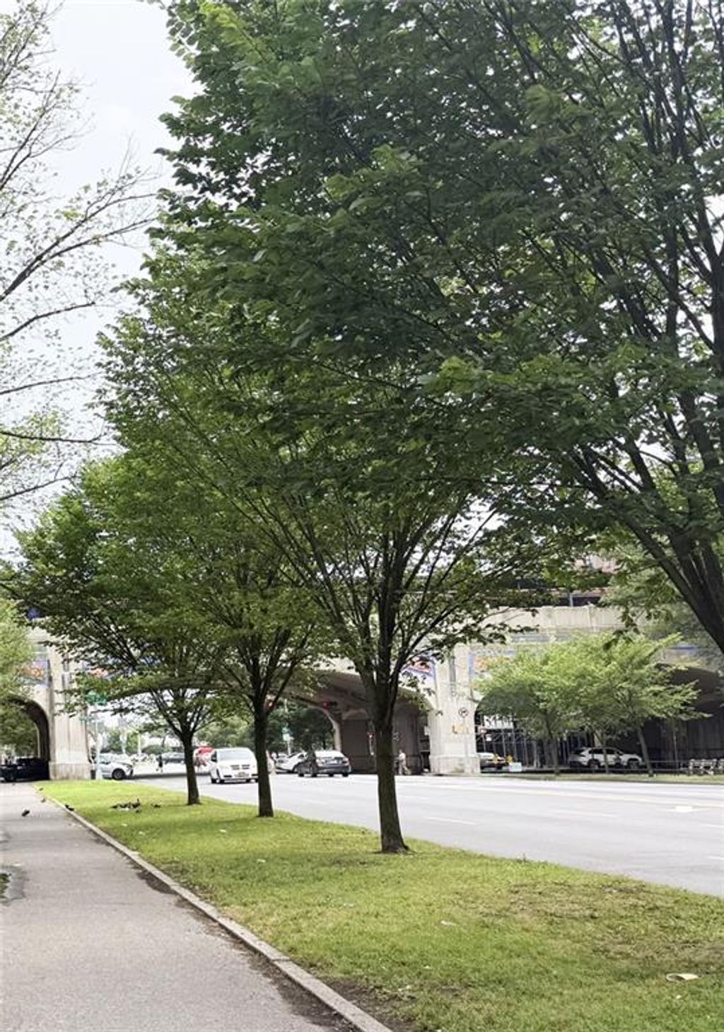 Photo of 3039 Ocean Parkway #B6, Brooklyn, NY 11235 (MLS # 497090)