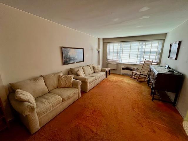 458 Neptune Avenue #10G, Brooklyn, New York image 10