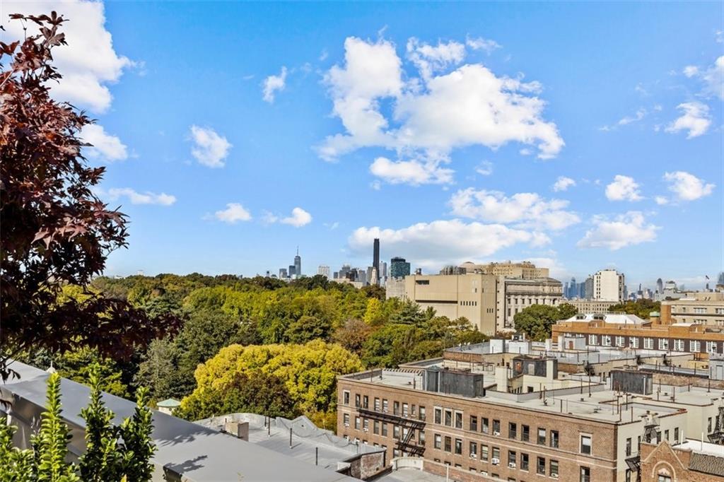 111 Montgomery Street #4R, Brooklyn, New York image 19