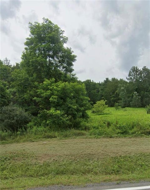 Vacant Land For Sale - 14951 State Route 23<br/> Greene County, Prattsville, NY 12468