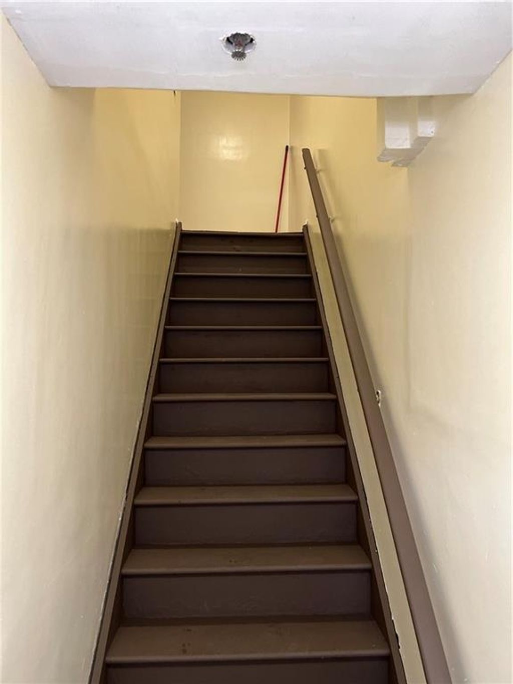 Photo of 773 Drew Street #2, Brooklyn, NY 11208 (MLS # 499159)