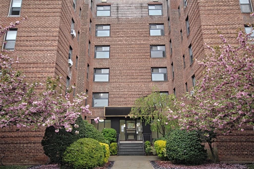 2229 Knapp Street #6D, Brooklyn, New York image 1