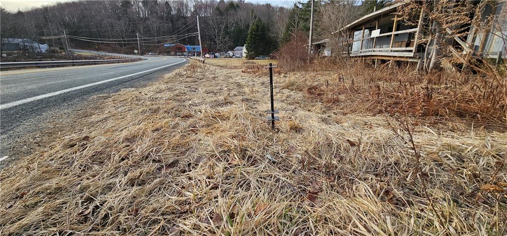 490 Briscoe Road, Swan Lake, New York image 2