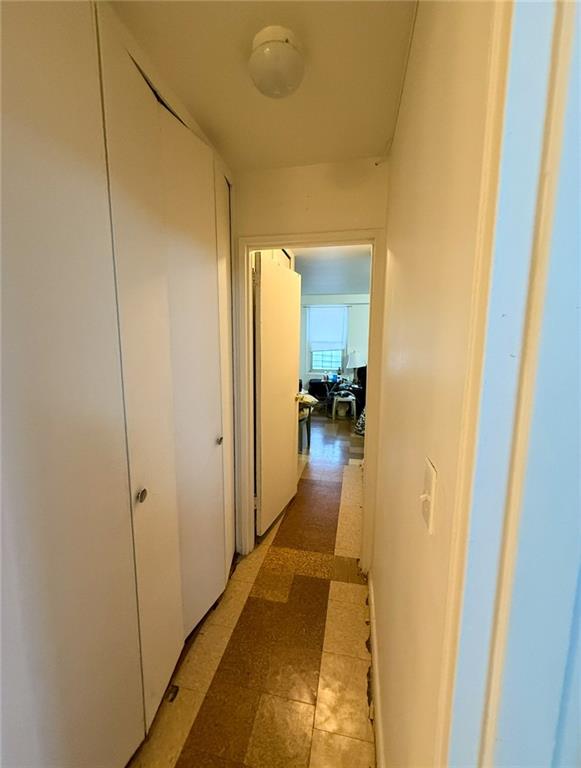 2650 Ocean Parkway #9N, Brooklyn, New York image 15