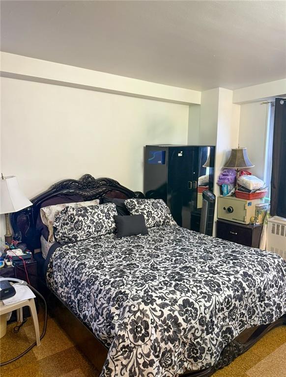 2650 Ocean Parkway #9N, Brooklyn, New York image 17