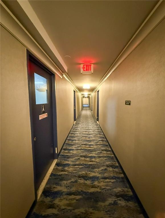 2650 Ocean Parkway #9N, Brooklyn, New York image 22