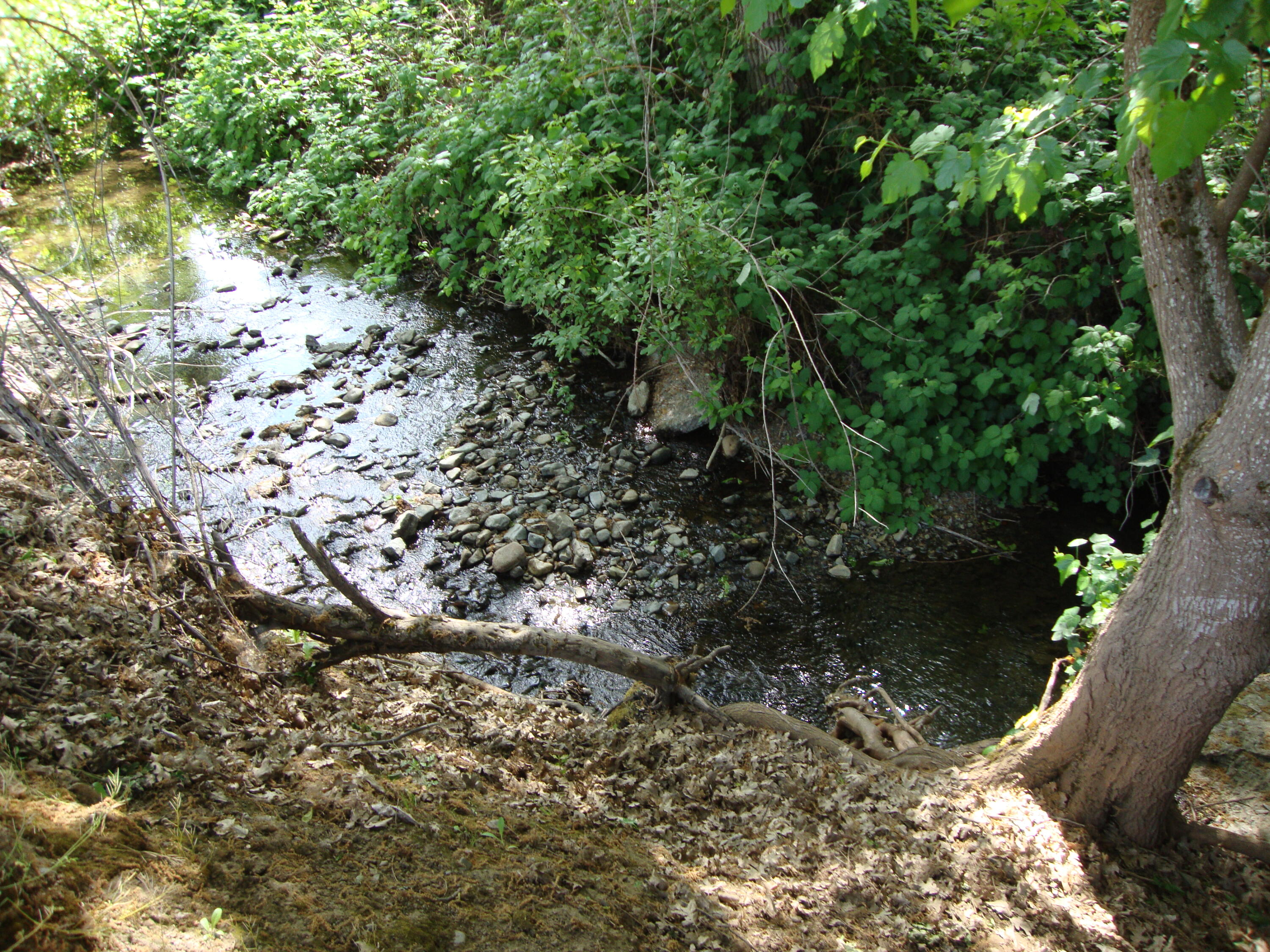 Dallas And Bonnie Brolin Subdivision - Land