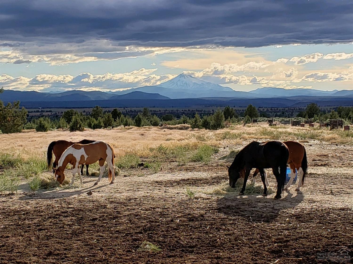 Madras - Residential