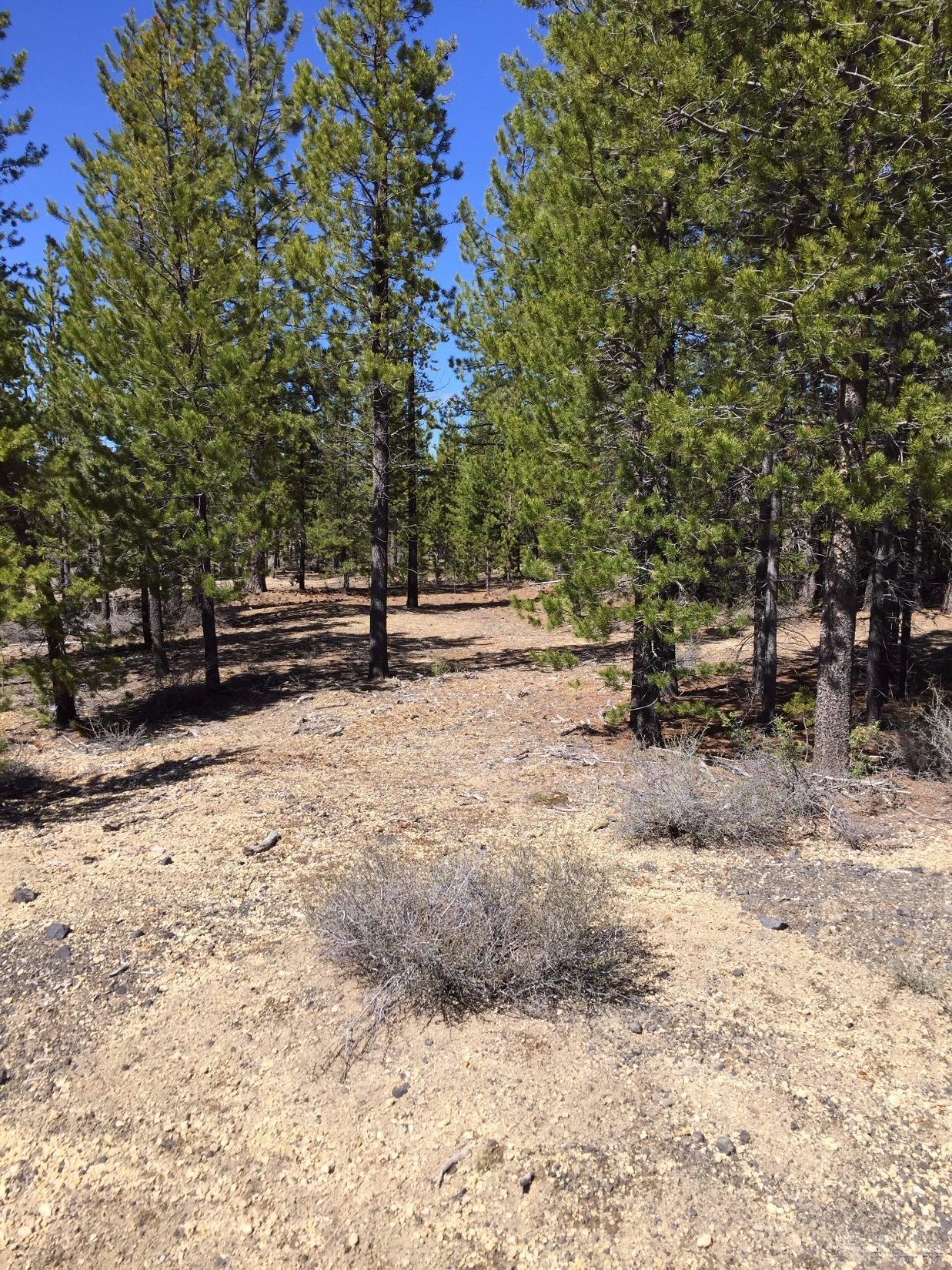 Two Rivers North - Land