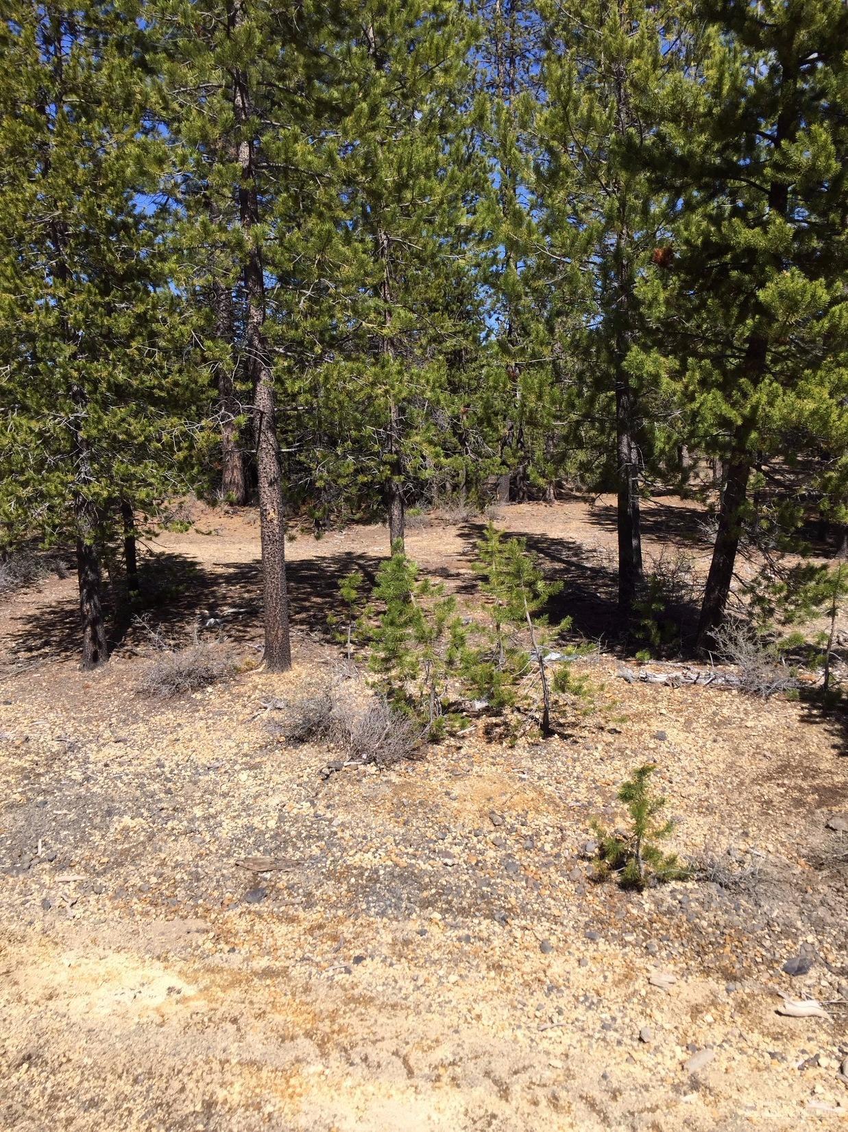 Two Rivers North - Land