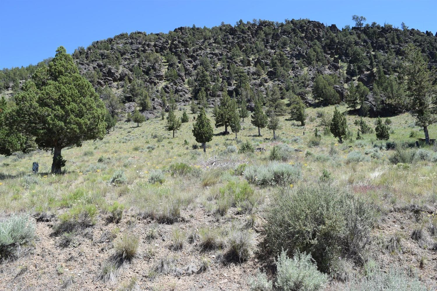 Juniper Hills - Residential