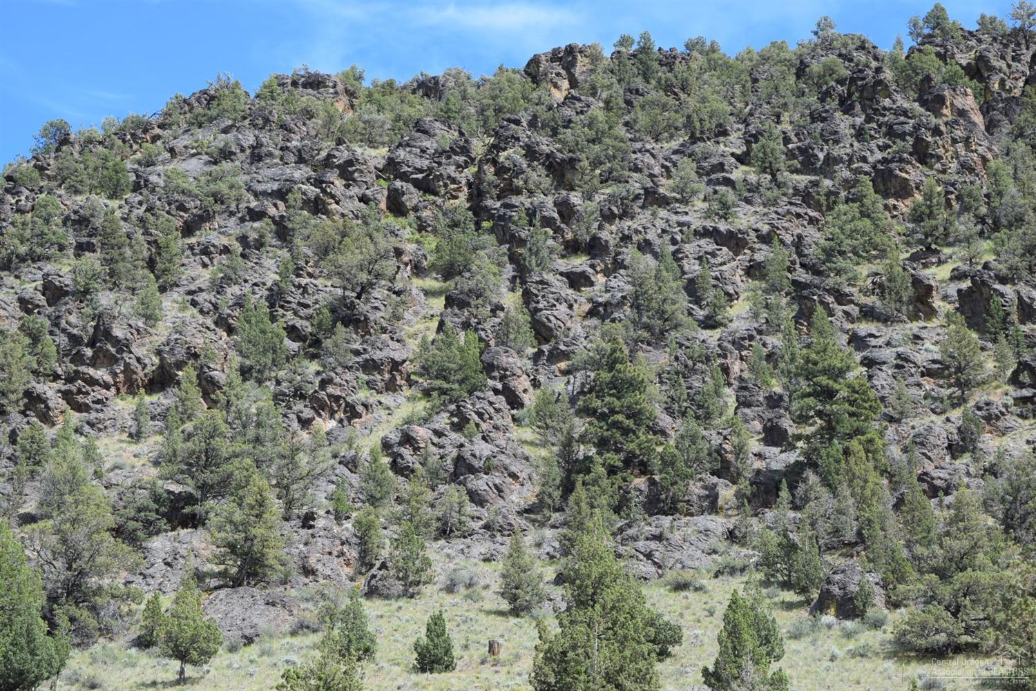 Juniper Hills - Residential