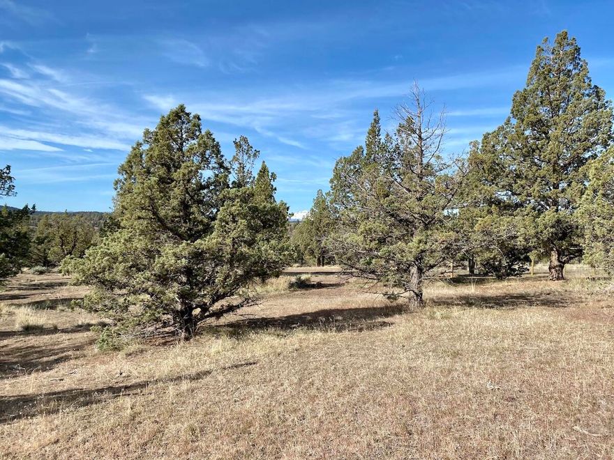 Once on your foundation the views will be stunning! Westerly Cascade view with irrigated farm fields at the base of the Cascades. Property adjoins public land at the rear, which is the widest part of the triangular shaped lot.  Adjoining properties have power installed, with power pole on property line. Community water system is available, with water meter box at property line. Septic is approved for the installation of a 300 linear foot, pressurized system. This ia a blank canvas, awaiting your creation of a master-piece!