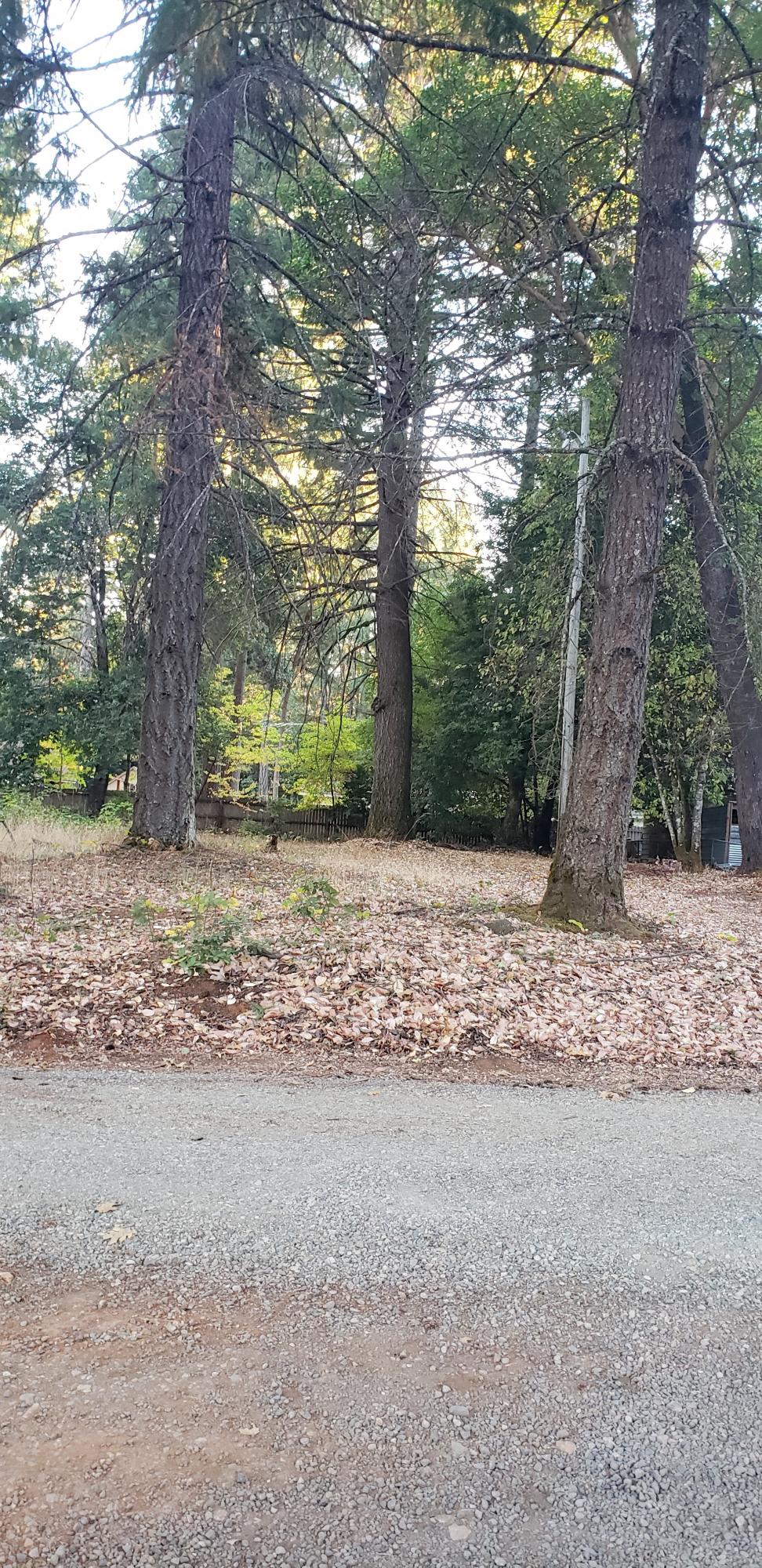 Pine Knolls Subdivision - Land