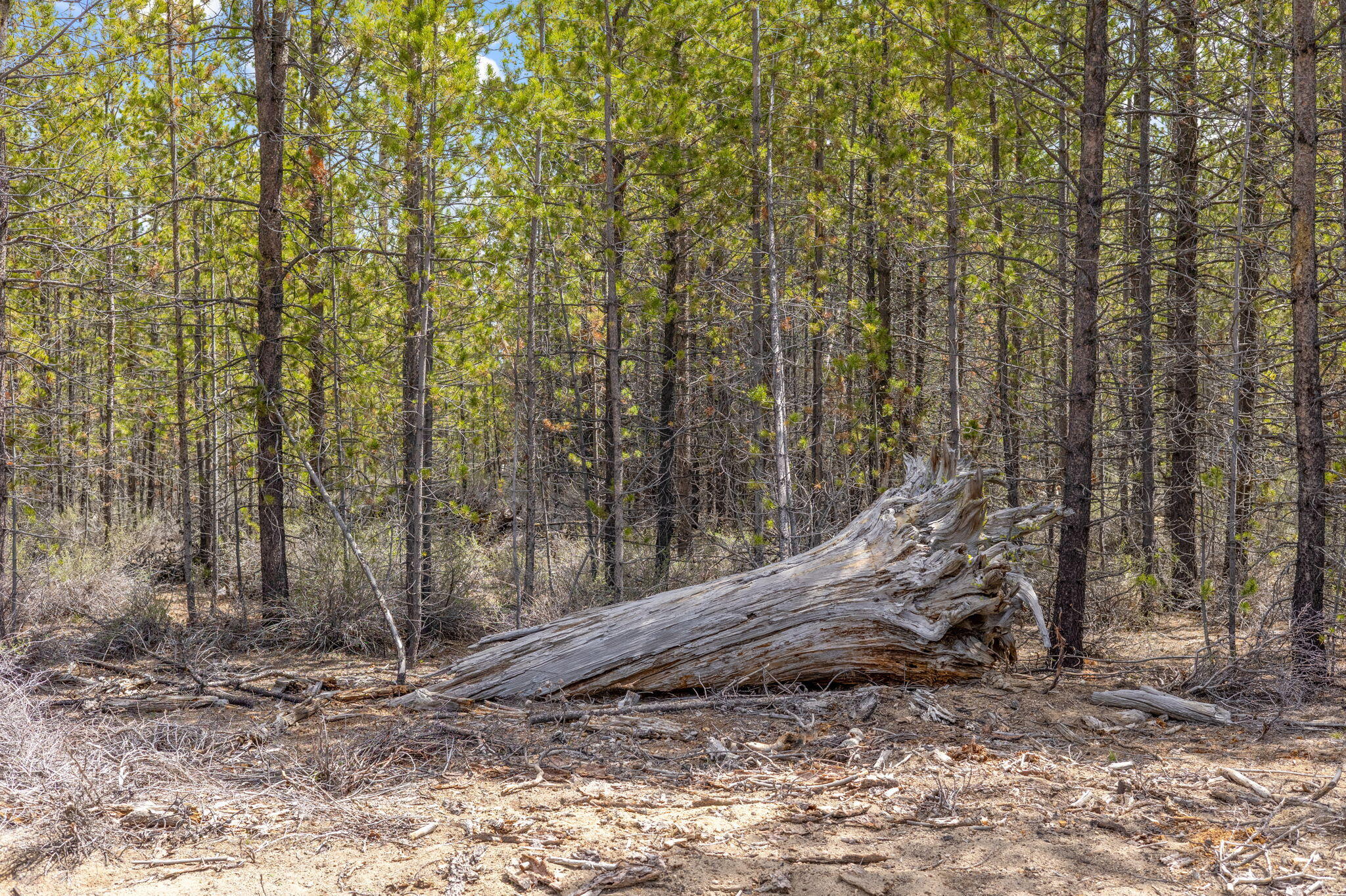 Wagon Trail Acreages - Land