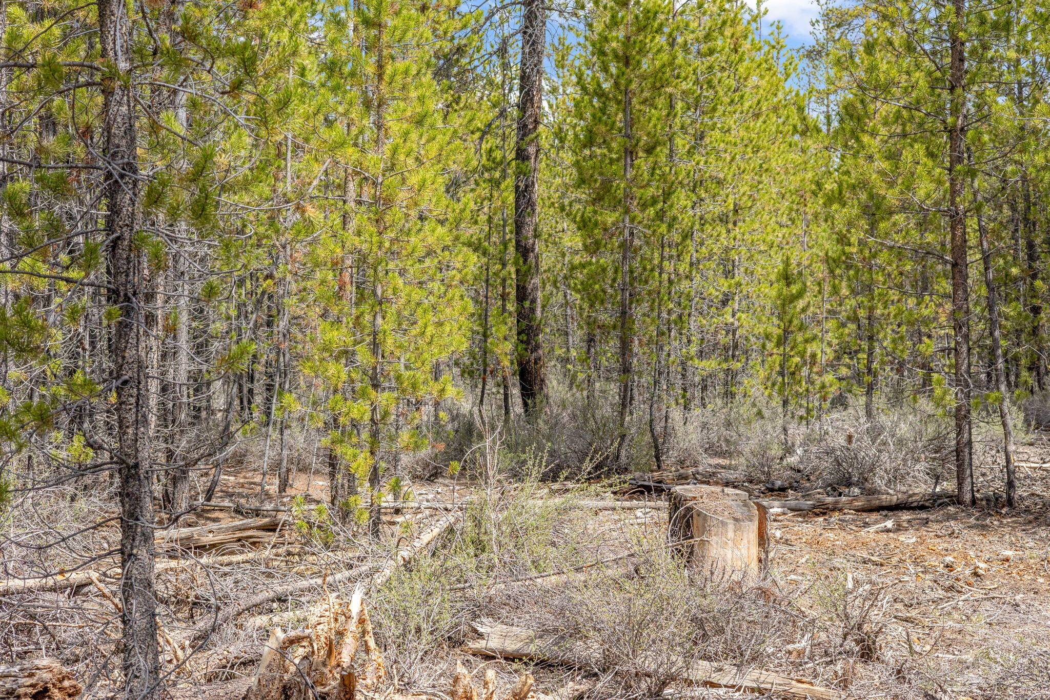 Wagon Trail Acreages - Land