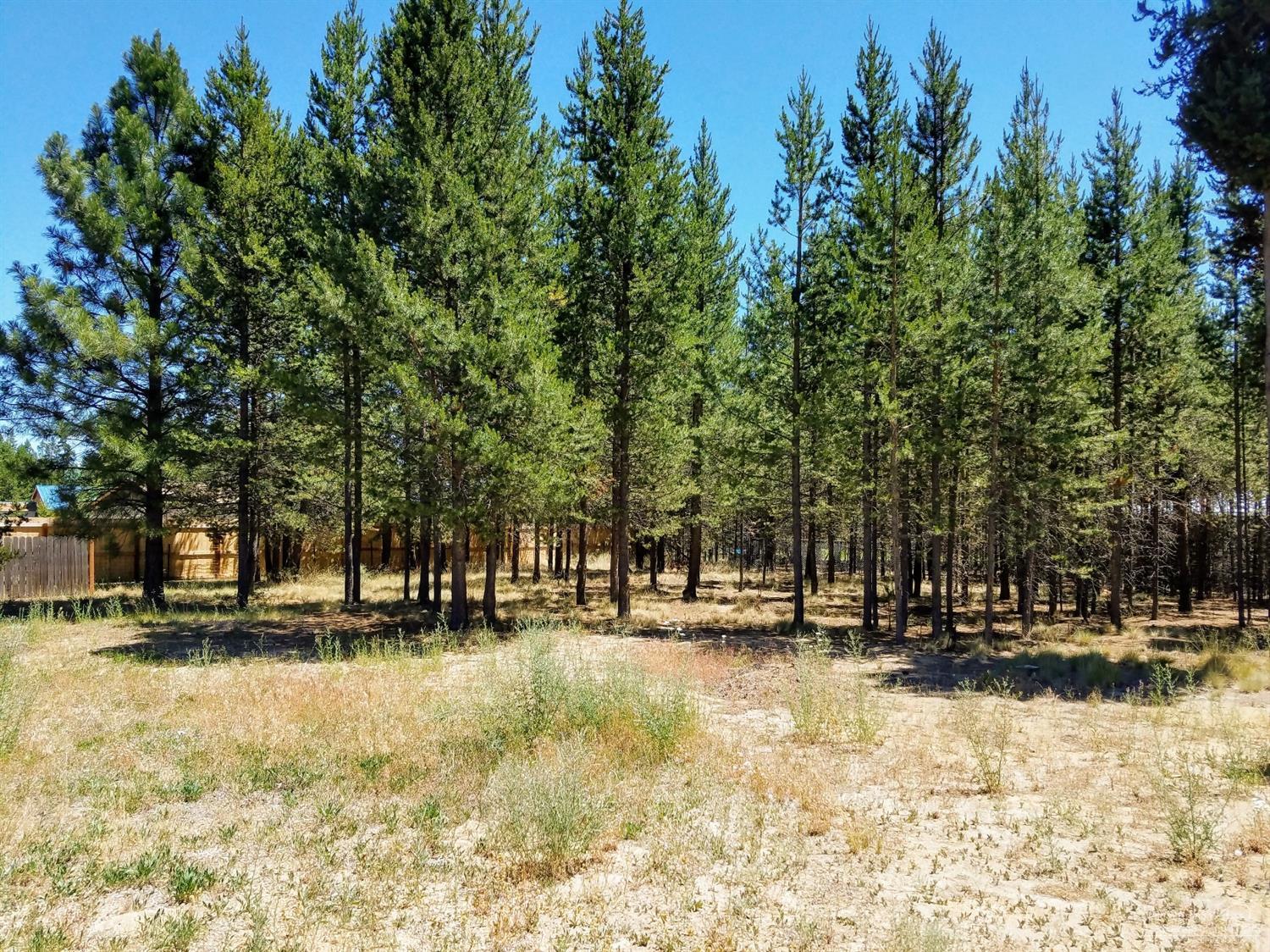 Evergreen Park - Residential