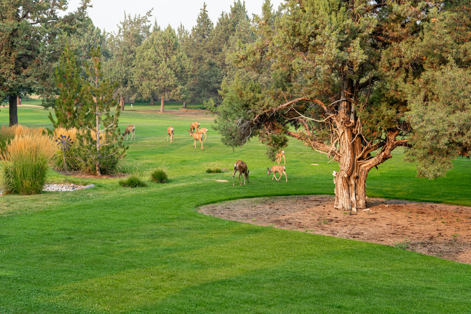 Eagle Crest - Residential