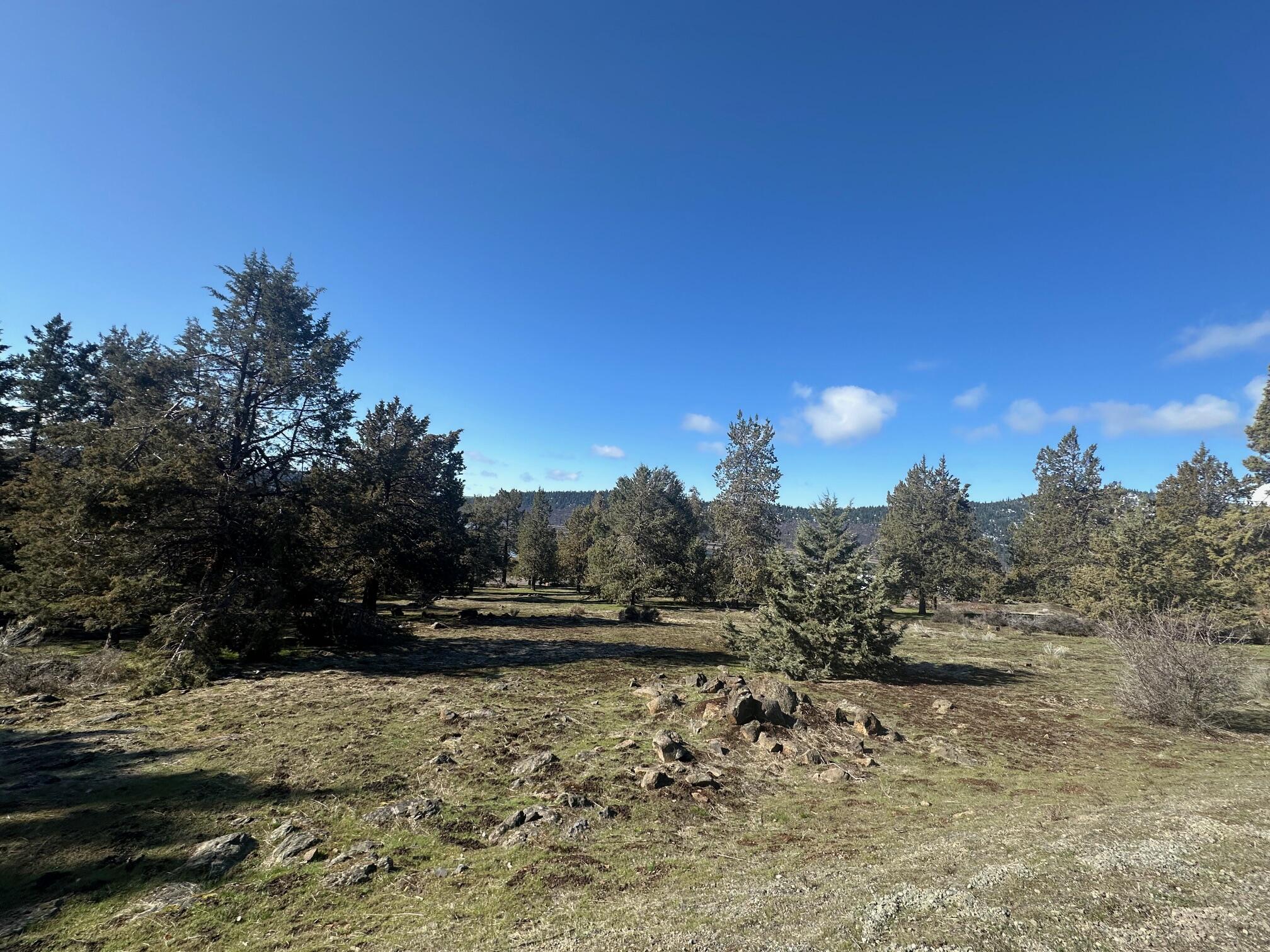 Running YResort - Land