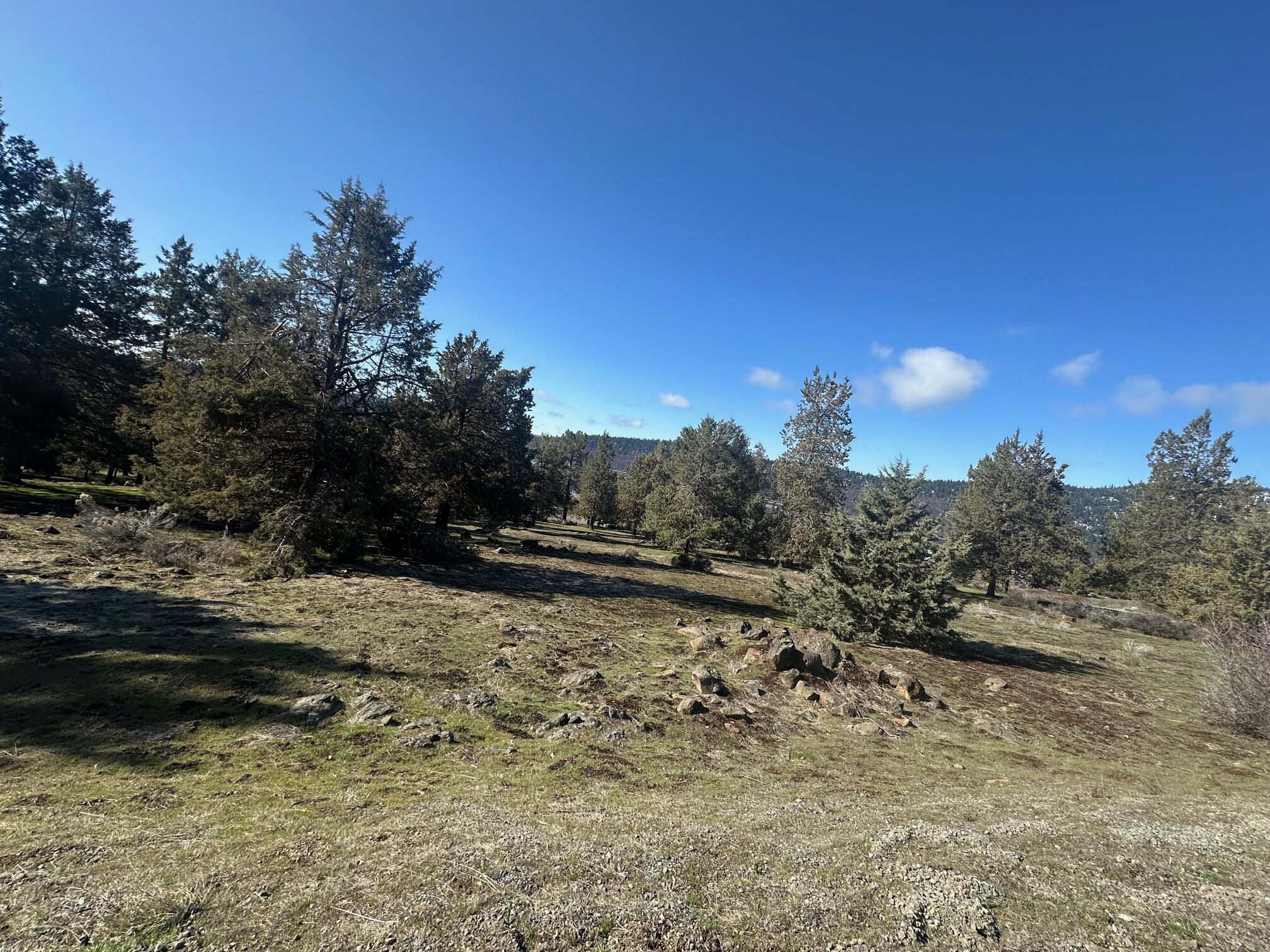 Running YResort - Land