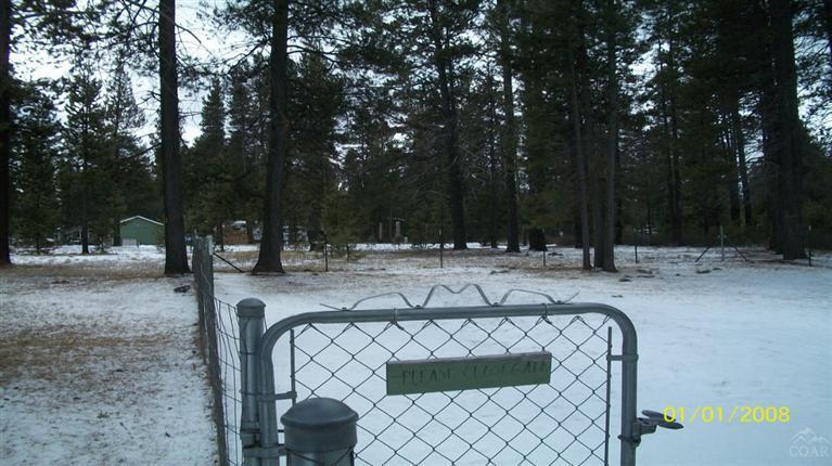 Tall Pines - Residential